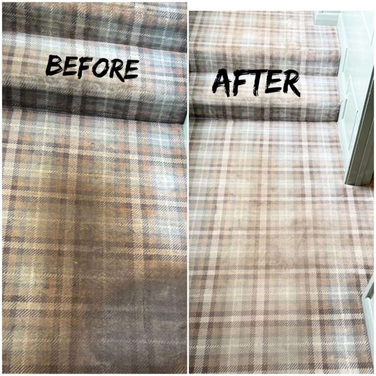 WhatsApp Image 2025-08-22 at 10.08.00 AM