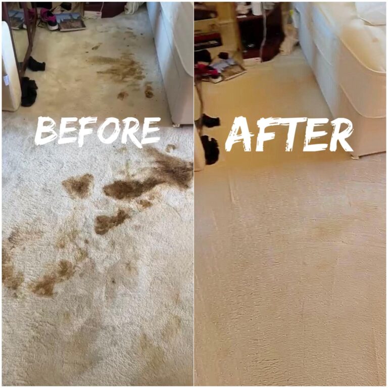 WhatsApp Image 2025-08-22 at 10.08.03 AM (1)